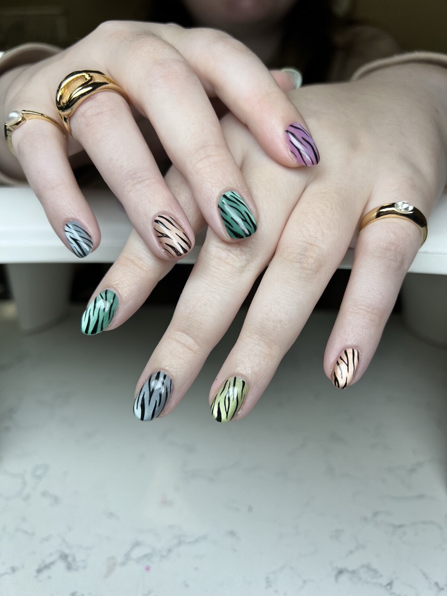 Pastel Zebra by Harley